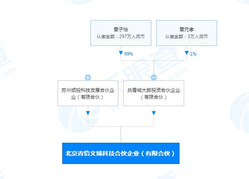 章子怡跨界布局科技領域 投資成立計算機系統(tǒng)服務合伙企業(yè)引關注